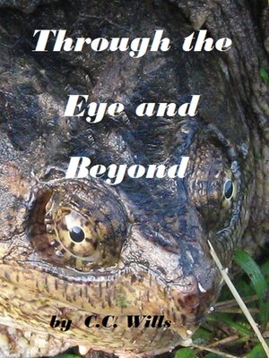 cover image of Through the Eye and Beyond